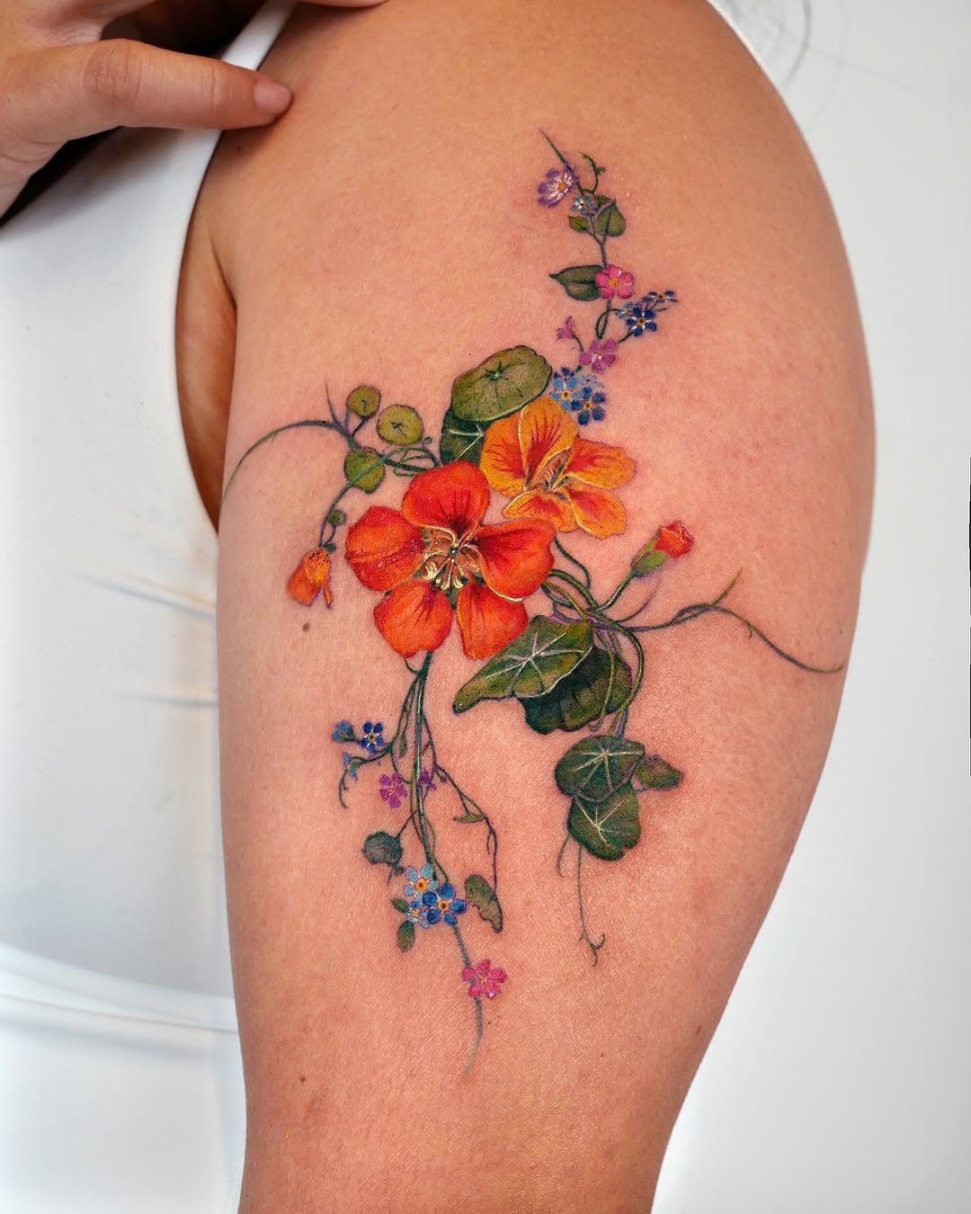 Flower, Rose