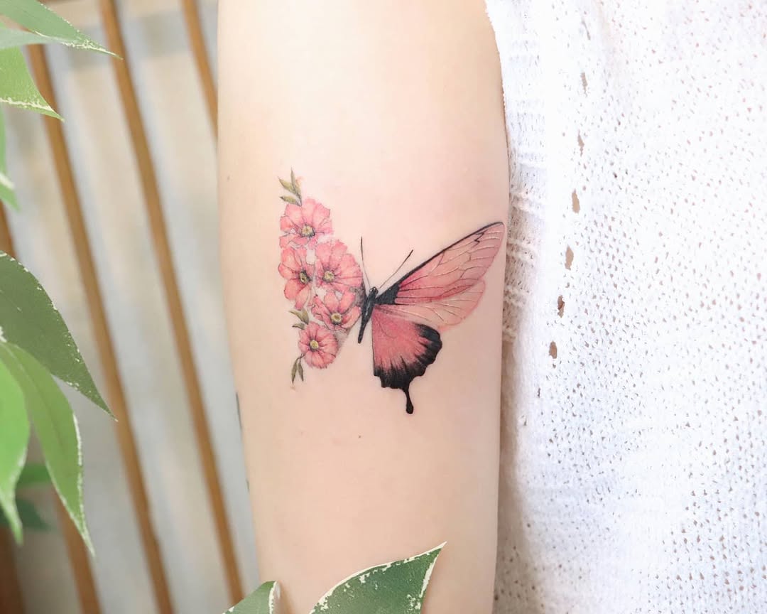Animal, Nature