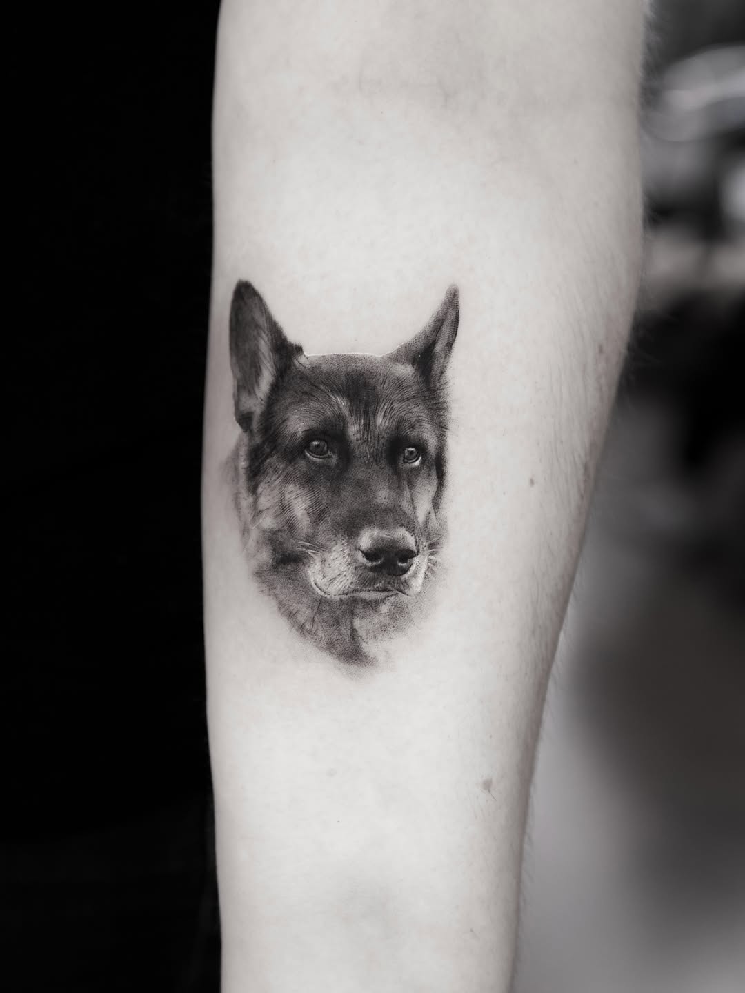 ben_tats