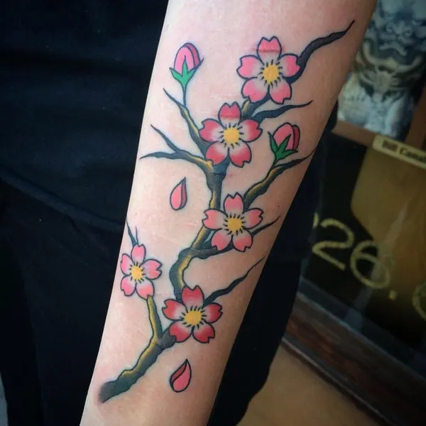Flower, Rose, 벚꽃, 매화
