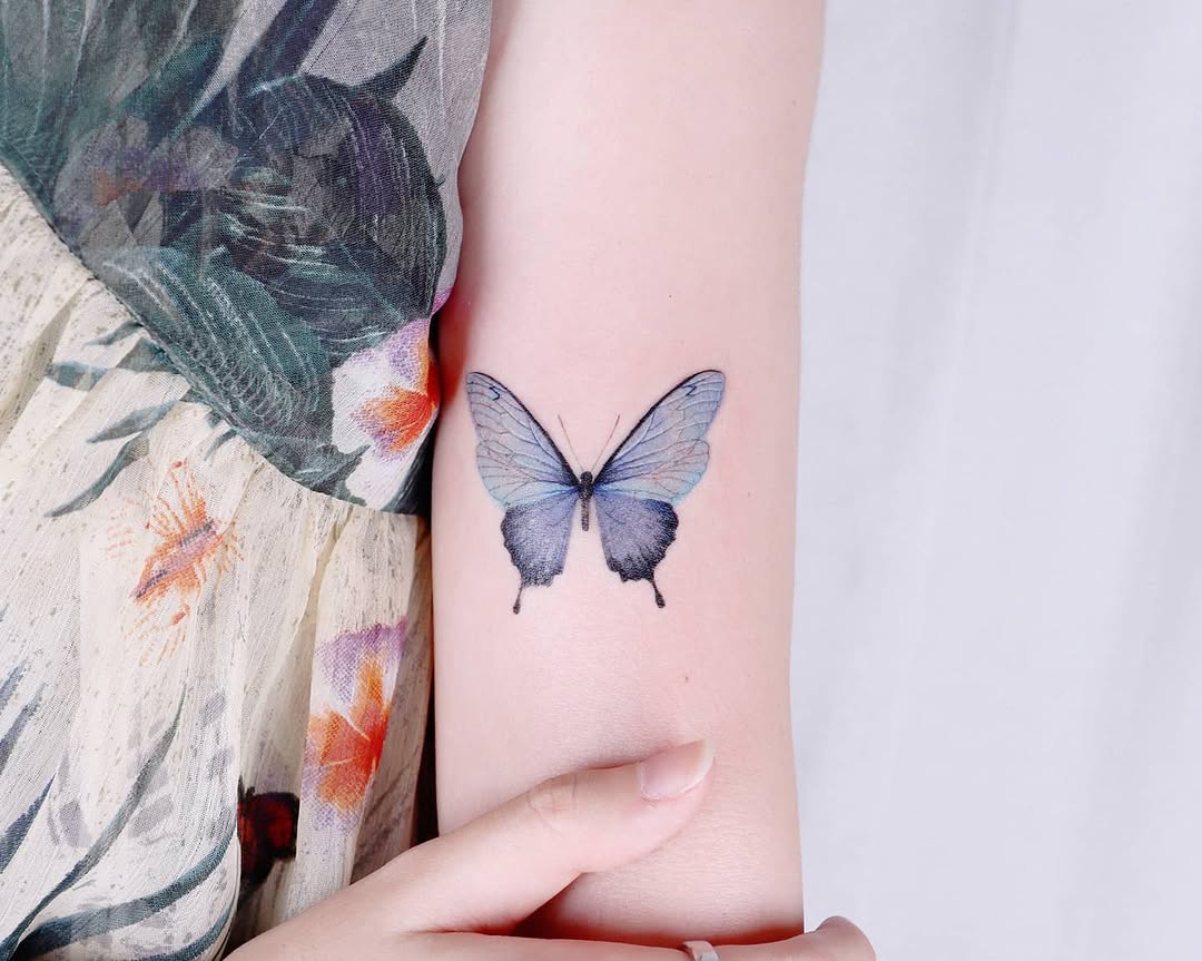 Animal, Nature