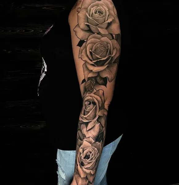 Flower, Rose, Nature