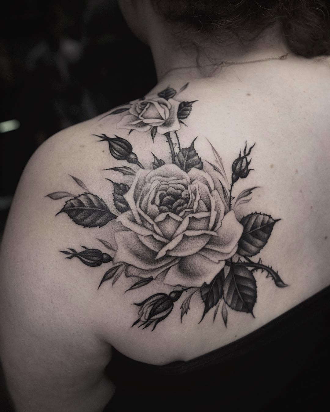 Flower, Rose, Nature
