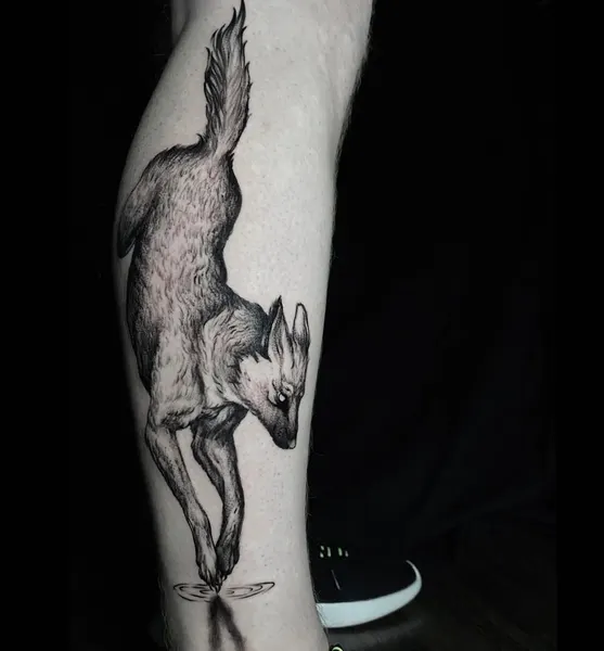 양, Animal, 사슴, 염소, 여우