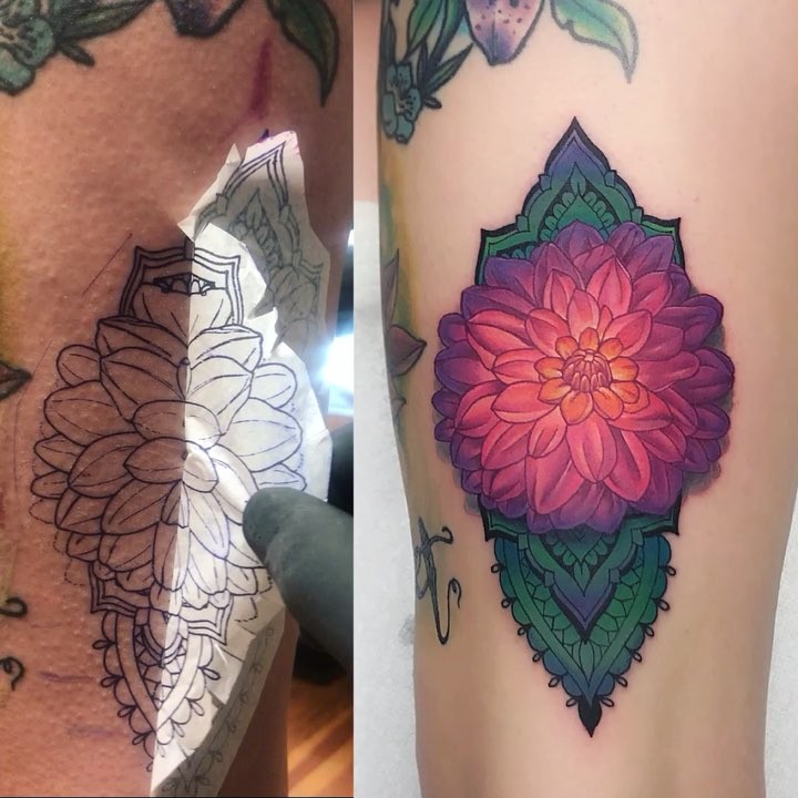 Flower, Rose