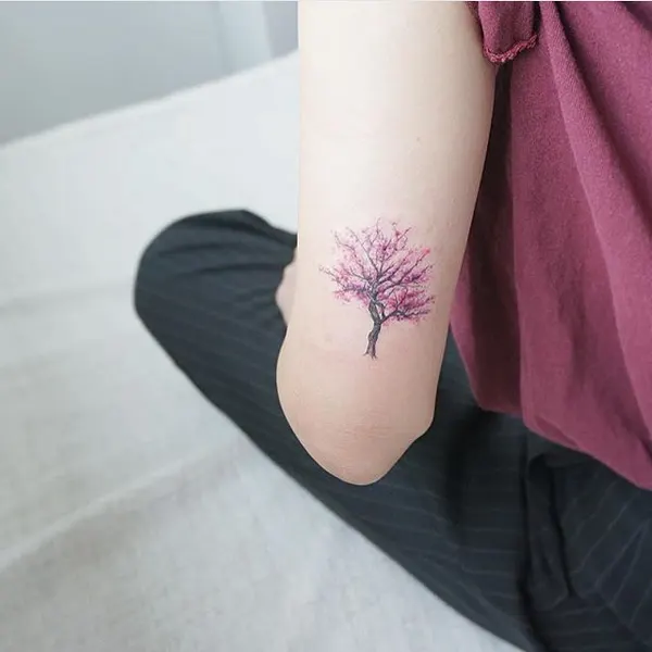 사쿠라, 대나무, 일본 단풍