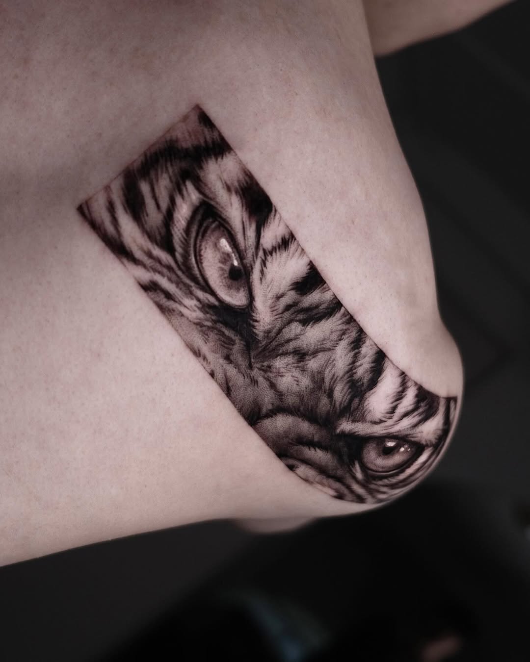 40.tatt