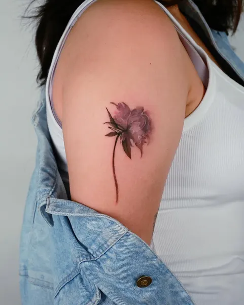 Flower, Rose, Nature