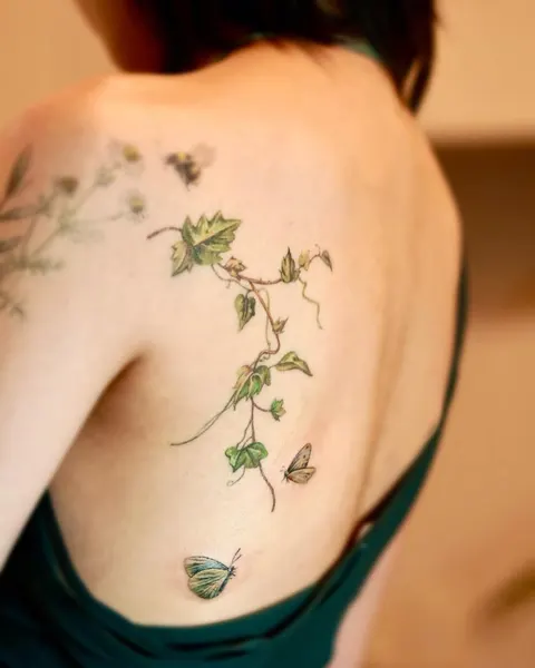 Flower, Nature, Rose