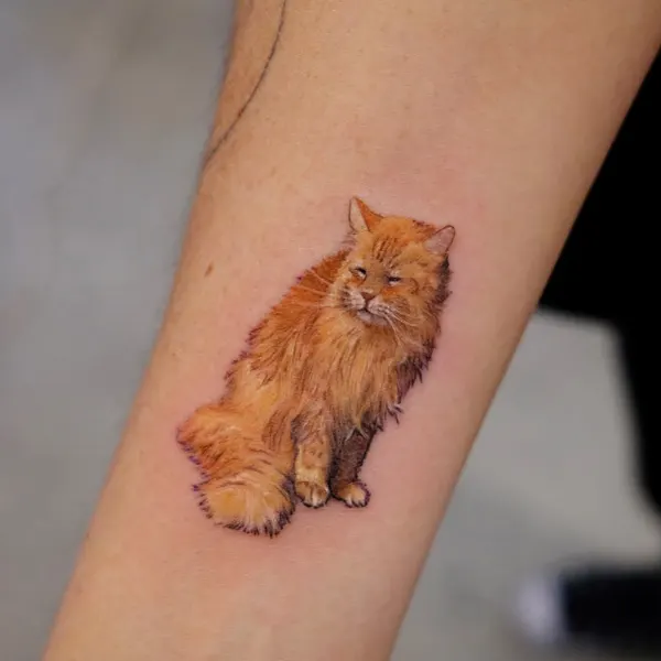 Animal