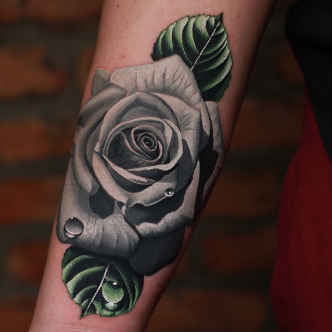 Flower, Rose