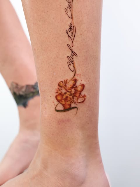 Flower, Rose, 양귀비