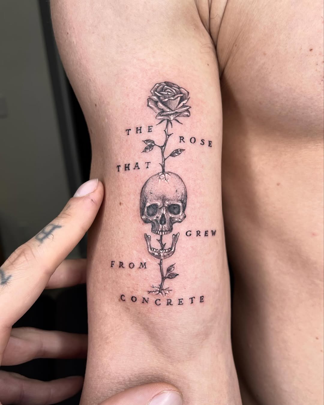 romeolacoste