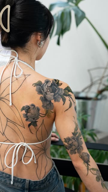 Flower, Nature, Rose