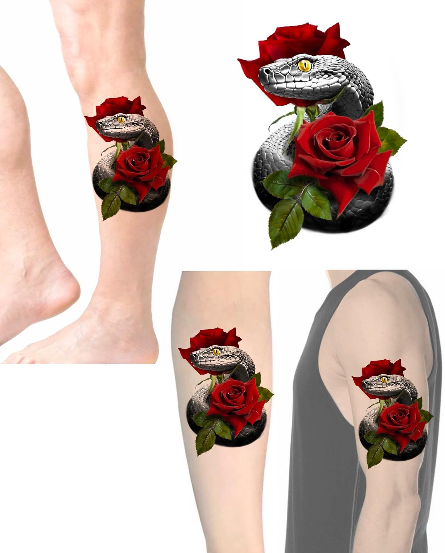 Flower, Rose, Nature