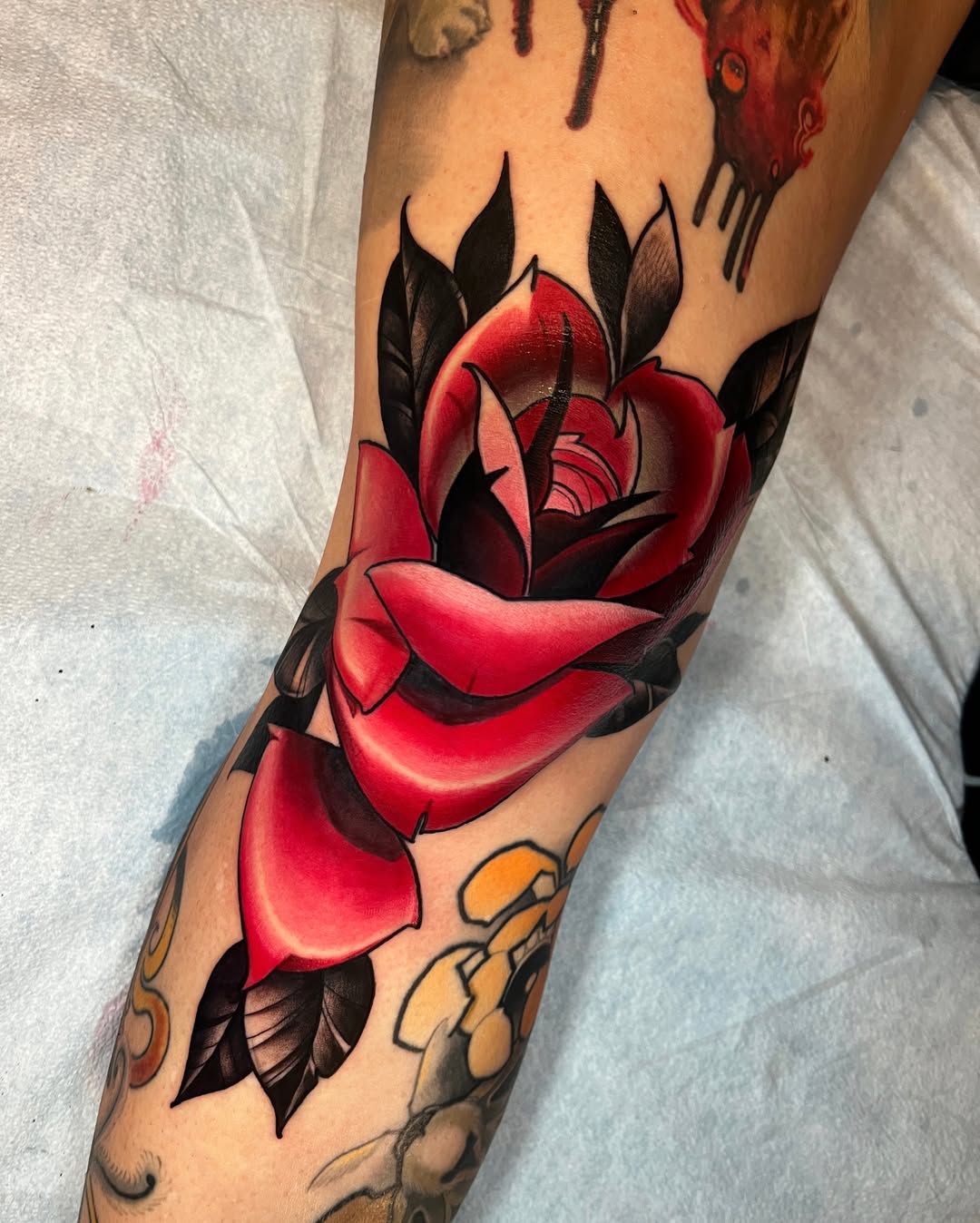 Flower, Rose