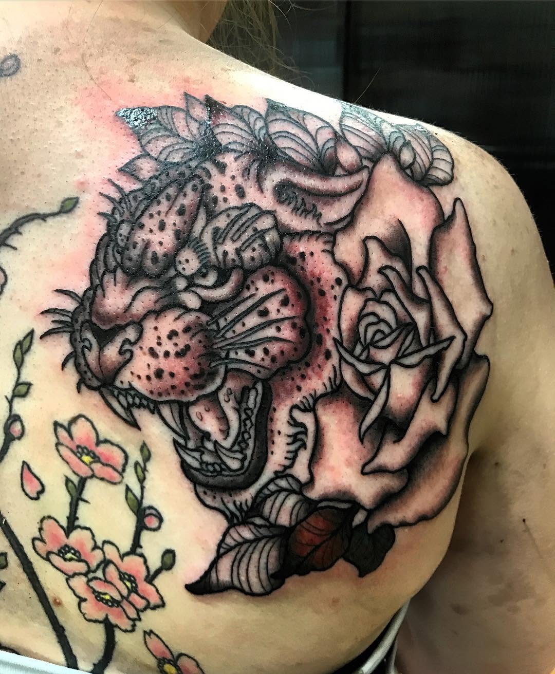 Tiger, Animal