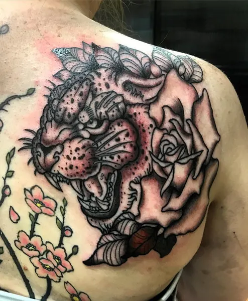 Tiger, Animal