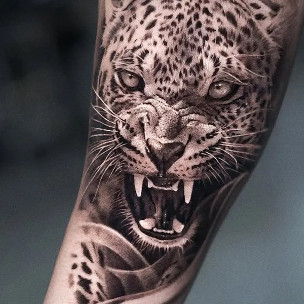 Animal