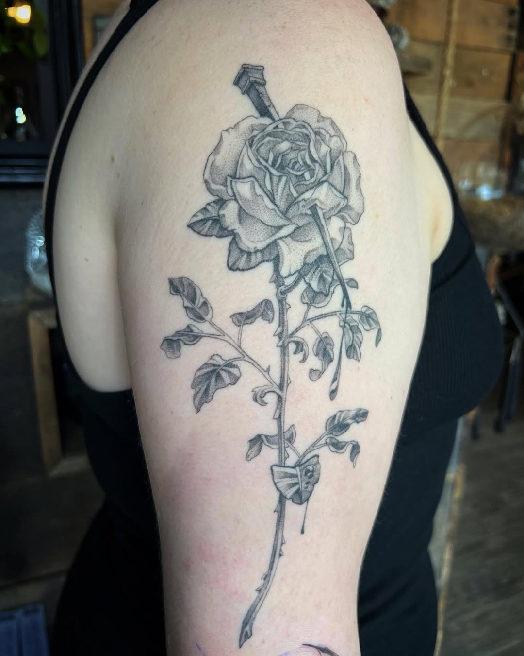 Flower, Rose, Nature