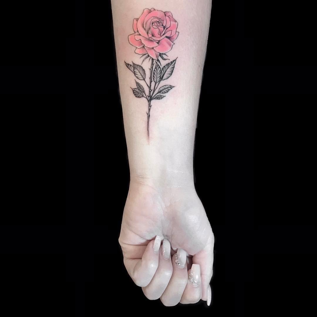 Flower, Rose