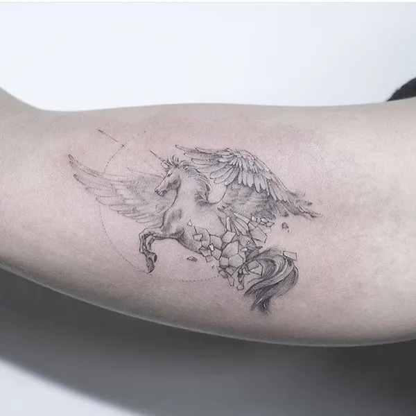 equilattera
