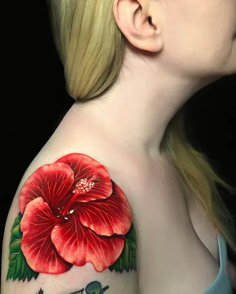 Flower, Nature, Rose