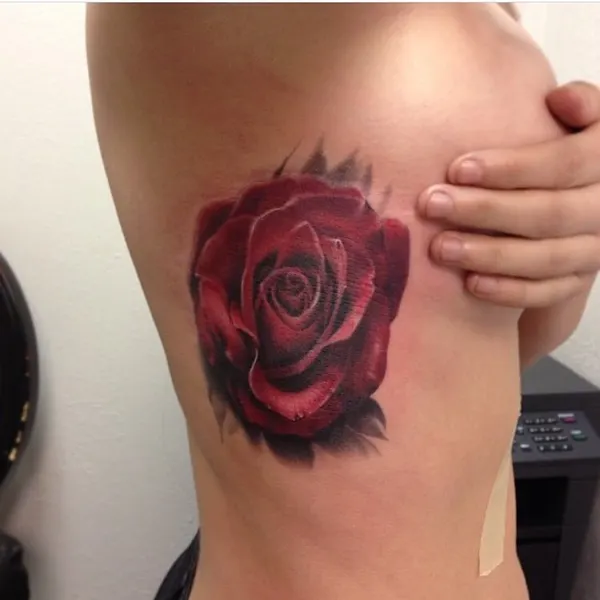 Flower, Nature, Rose