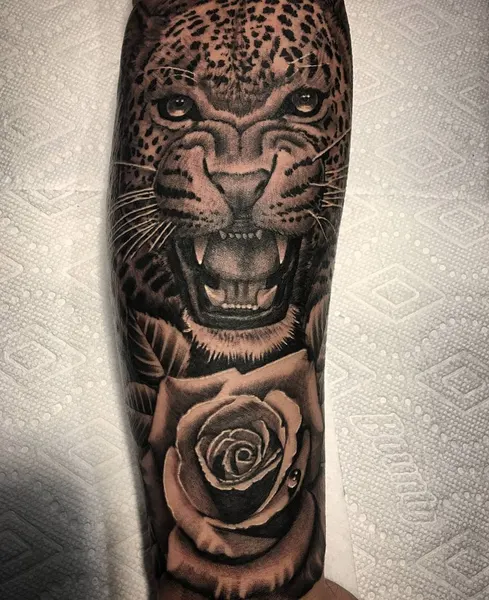 Tiger, Animal