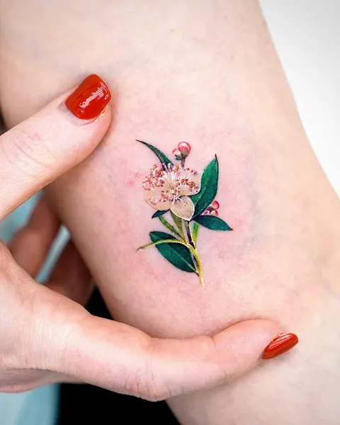 Flower
