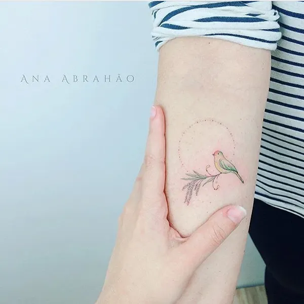 equilattera
