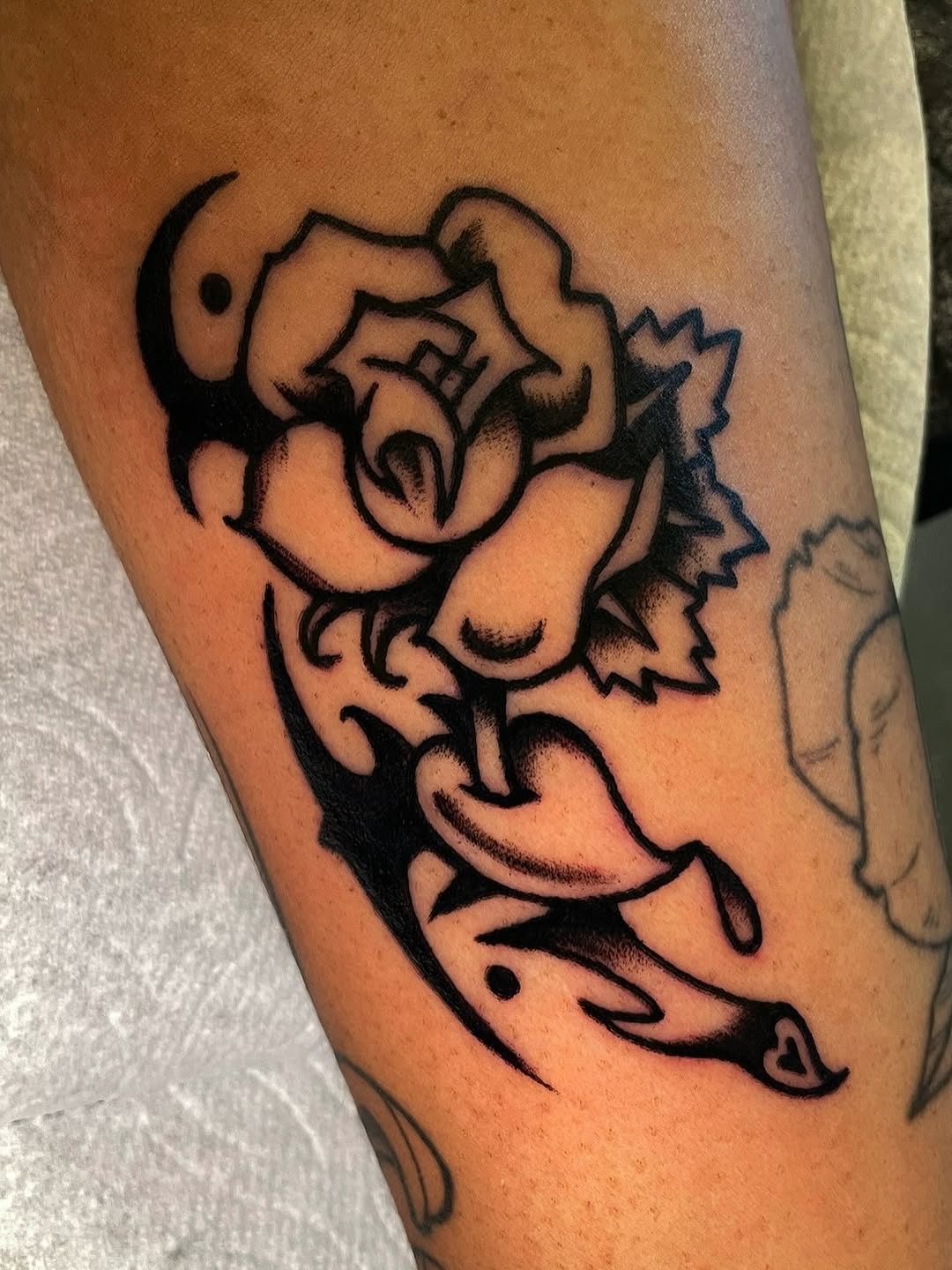 Flower, Rose