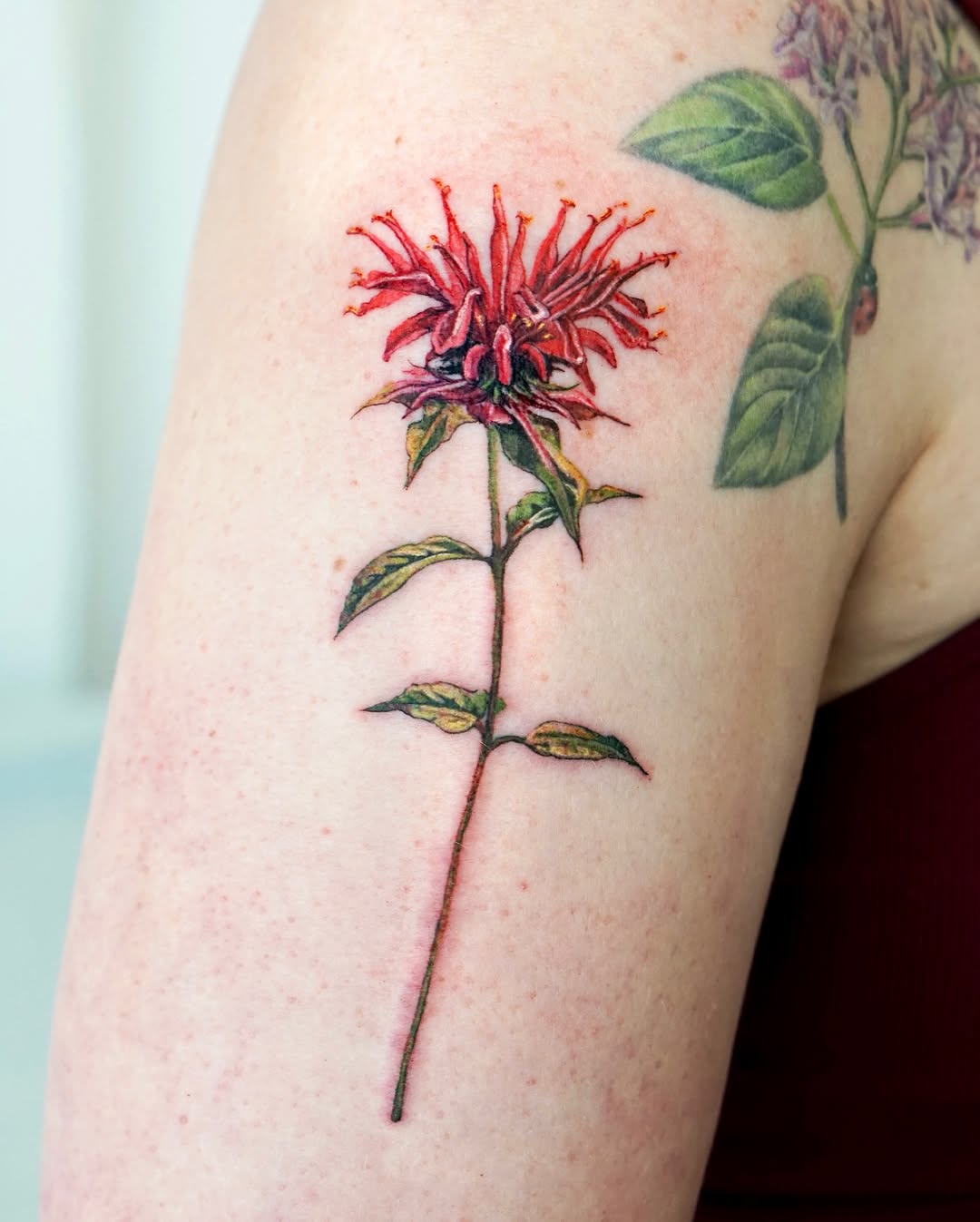 1sle_tattoo