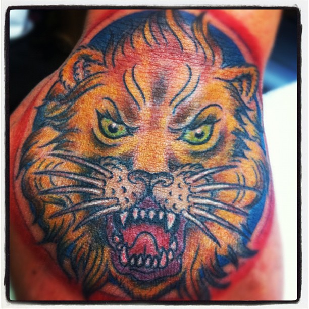 Tiger, Animal