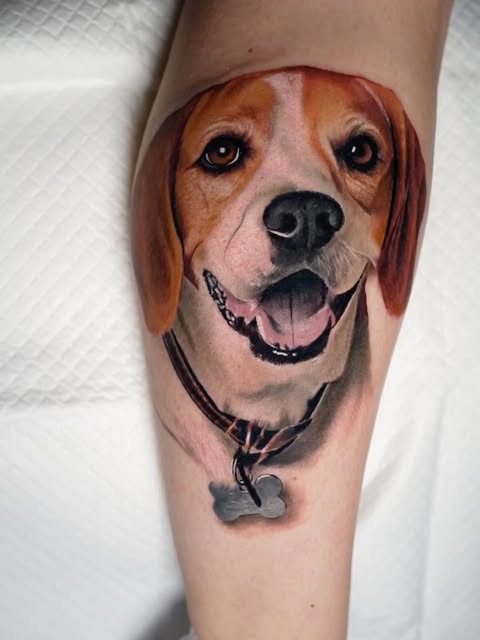 Animal