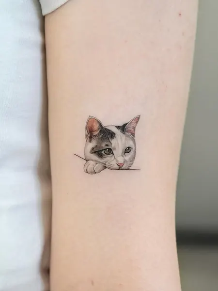 여우 가면, 고양이