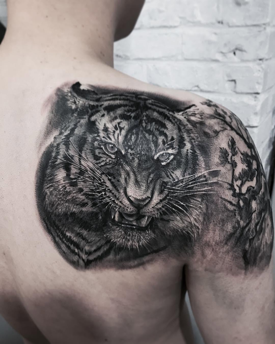 Tiger, 중국 호랑이, 한국 호랑이