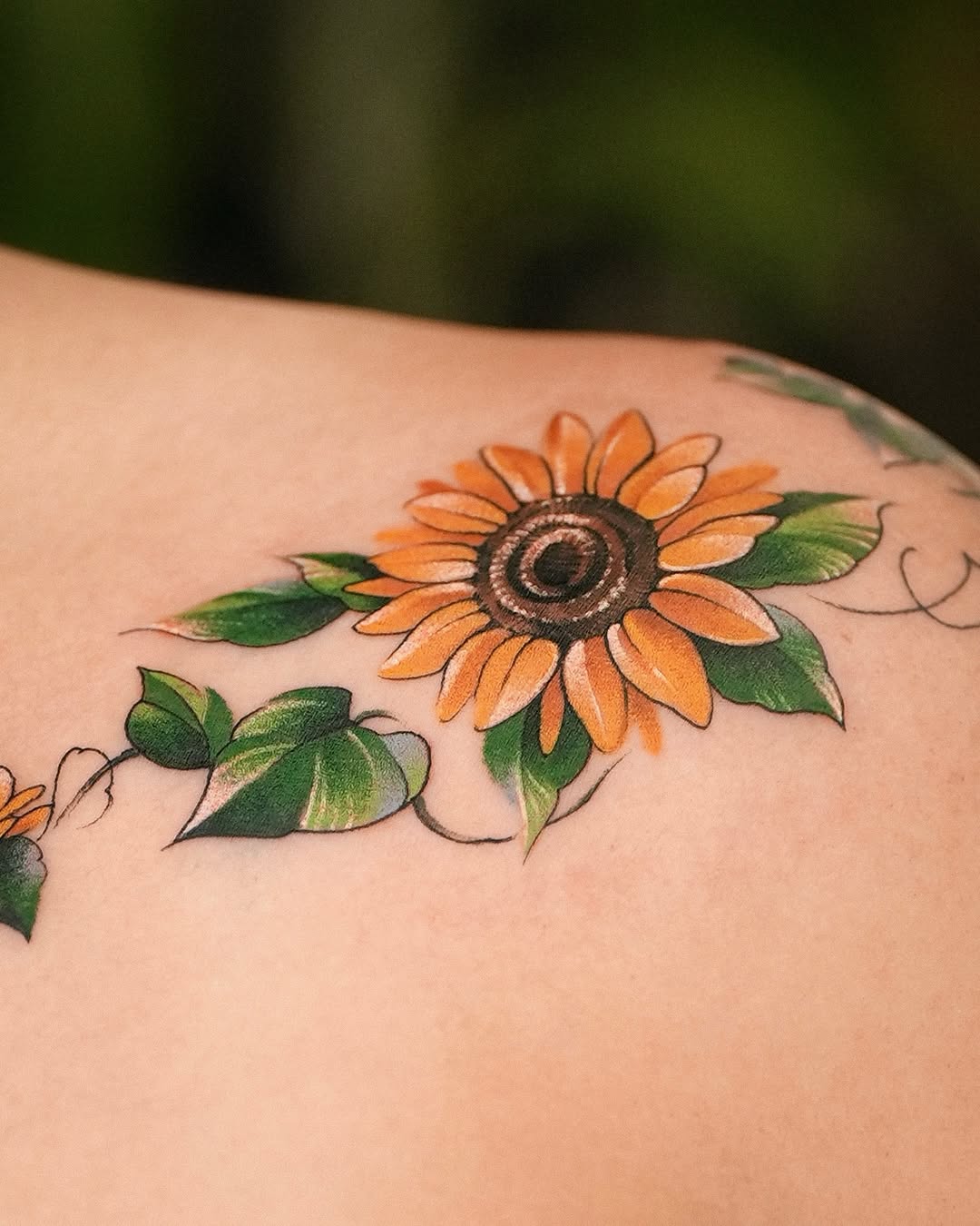 Flower, 해바라기