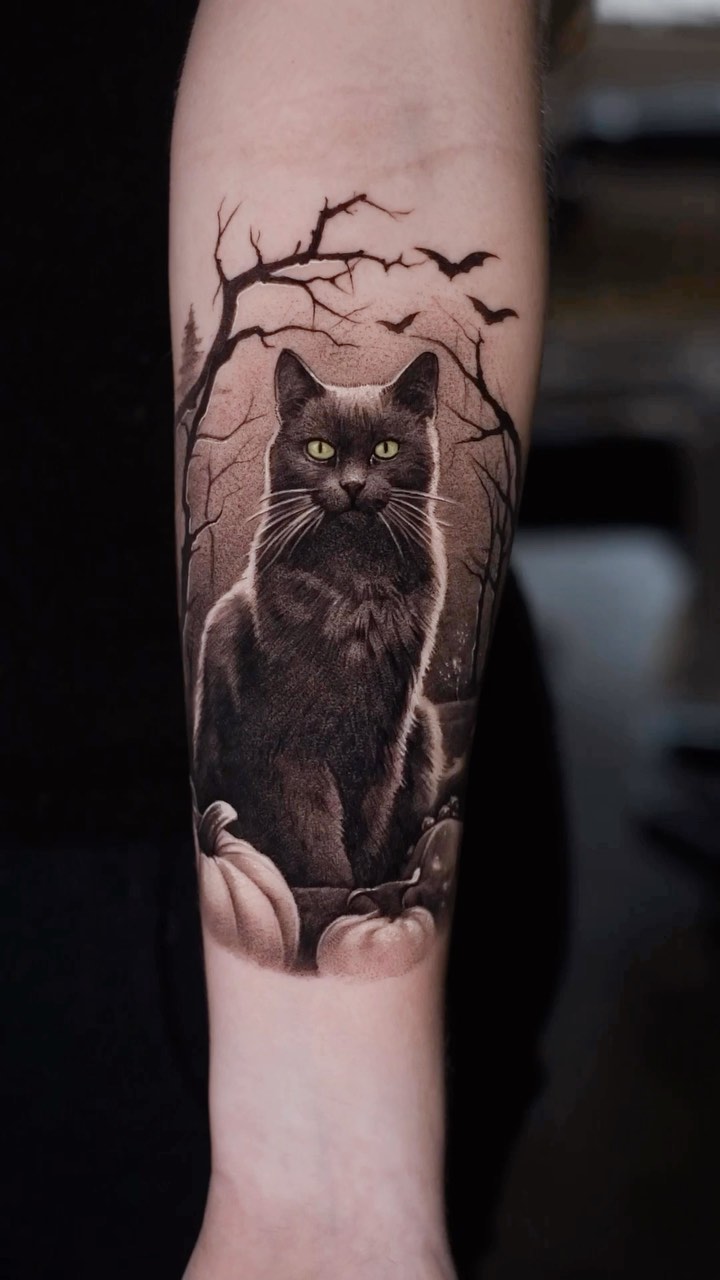 Animal