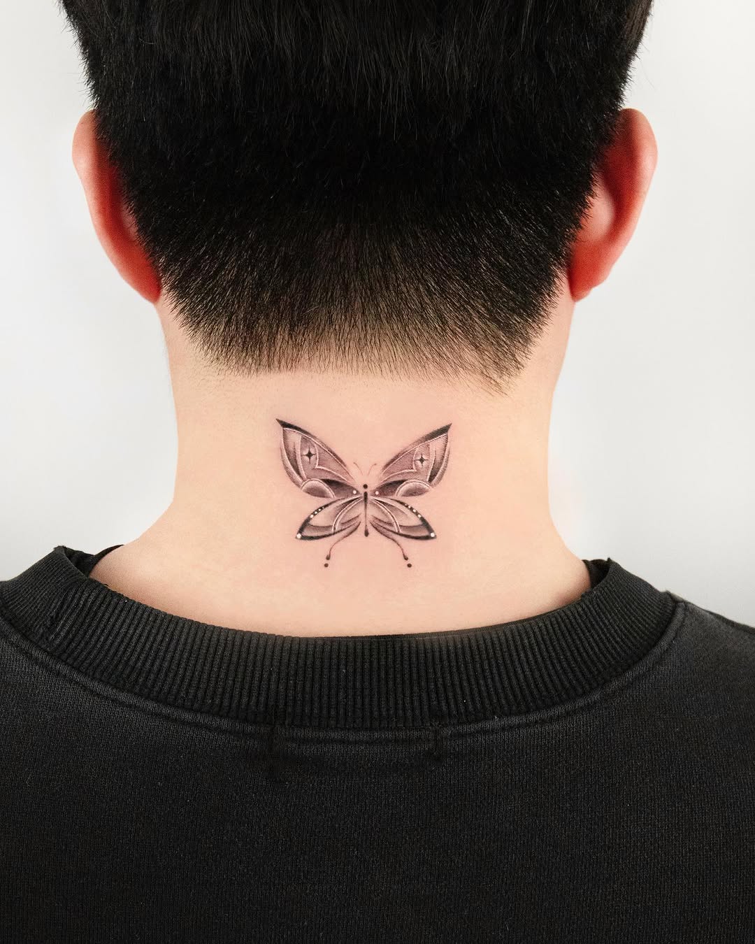 Nature, Animal