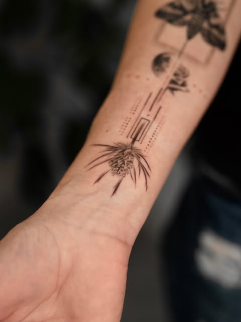Nature, Animal