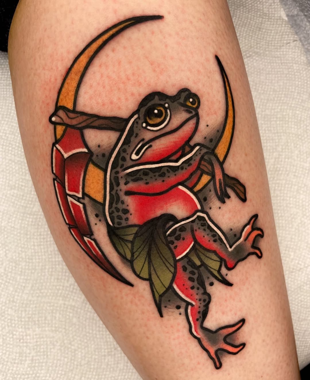 개구리, Dragon