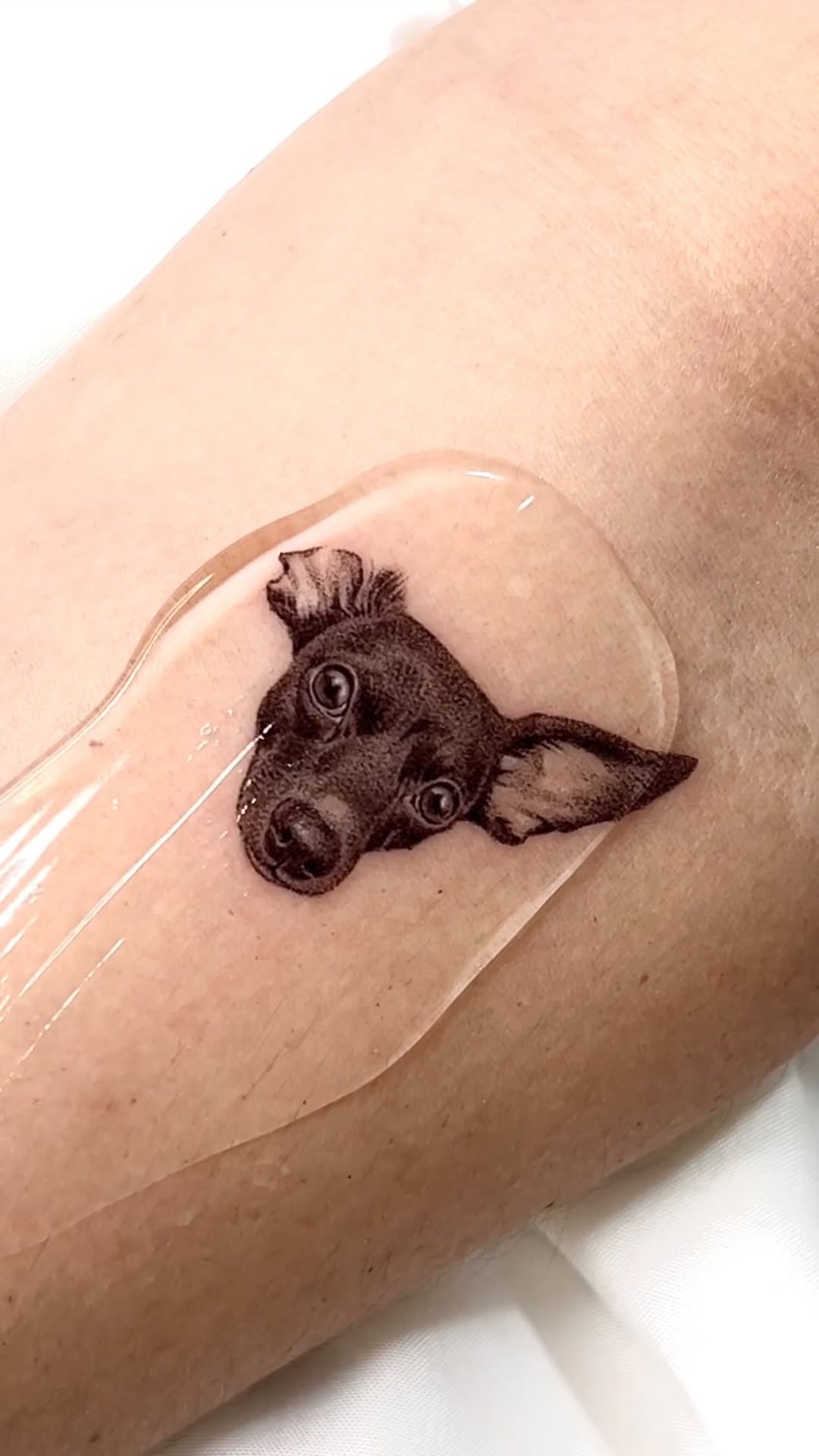 dorok.tattoo