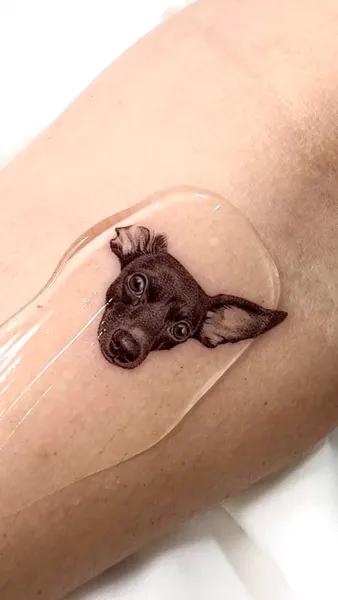 Animal