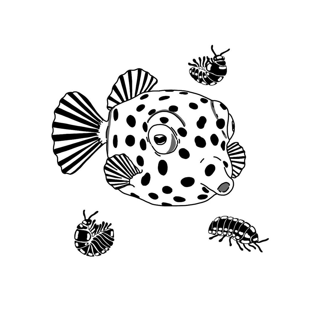 happyfishhead