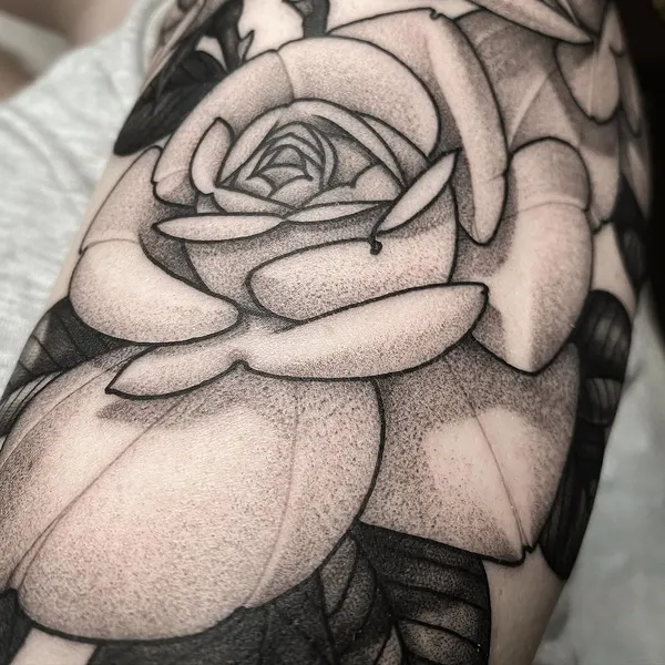Flower, Rose