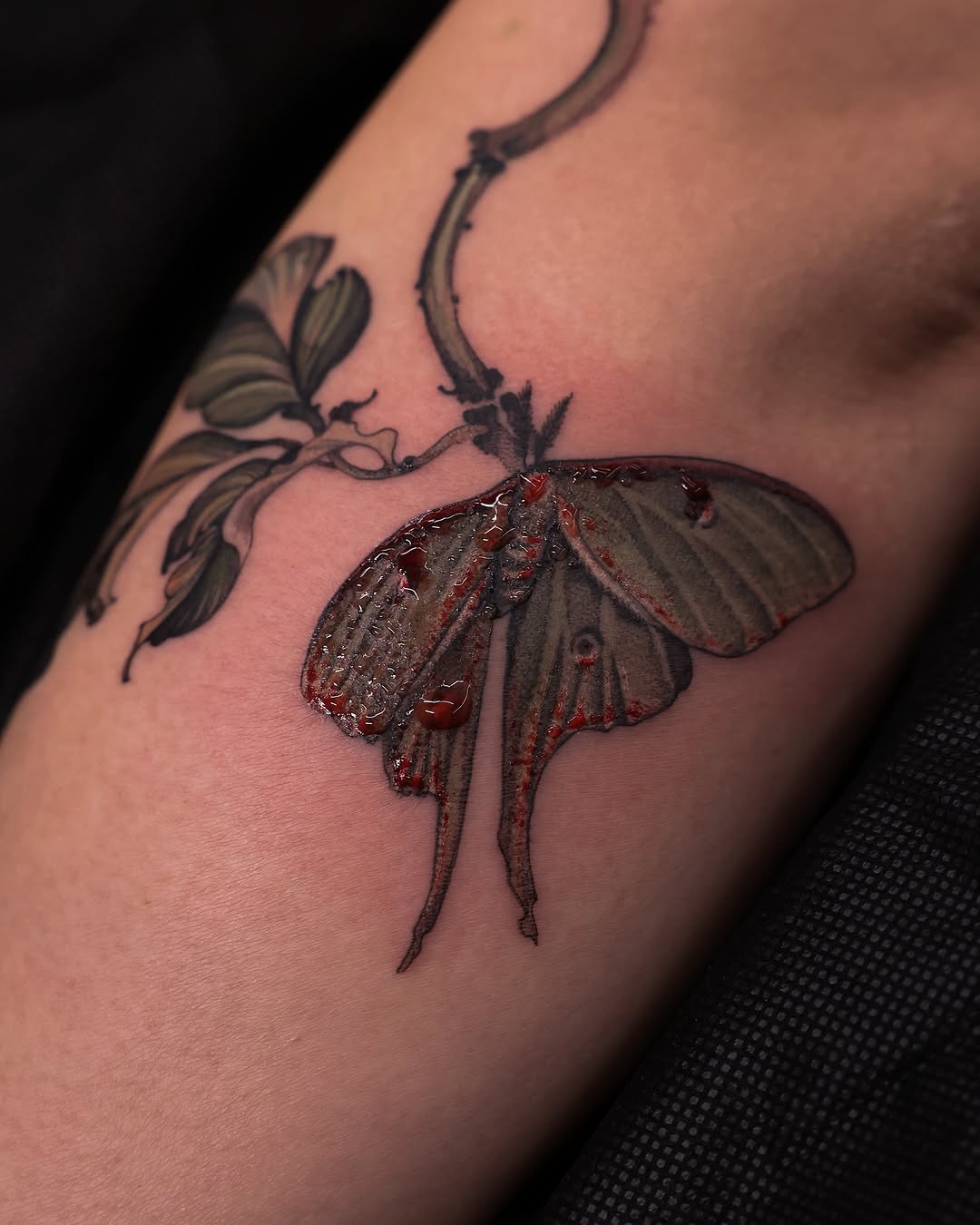 Animal, Nature, Flower