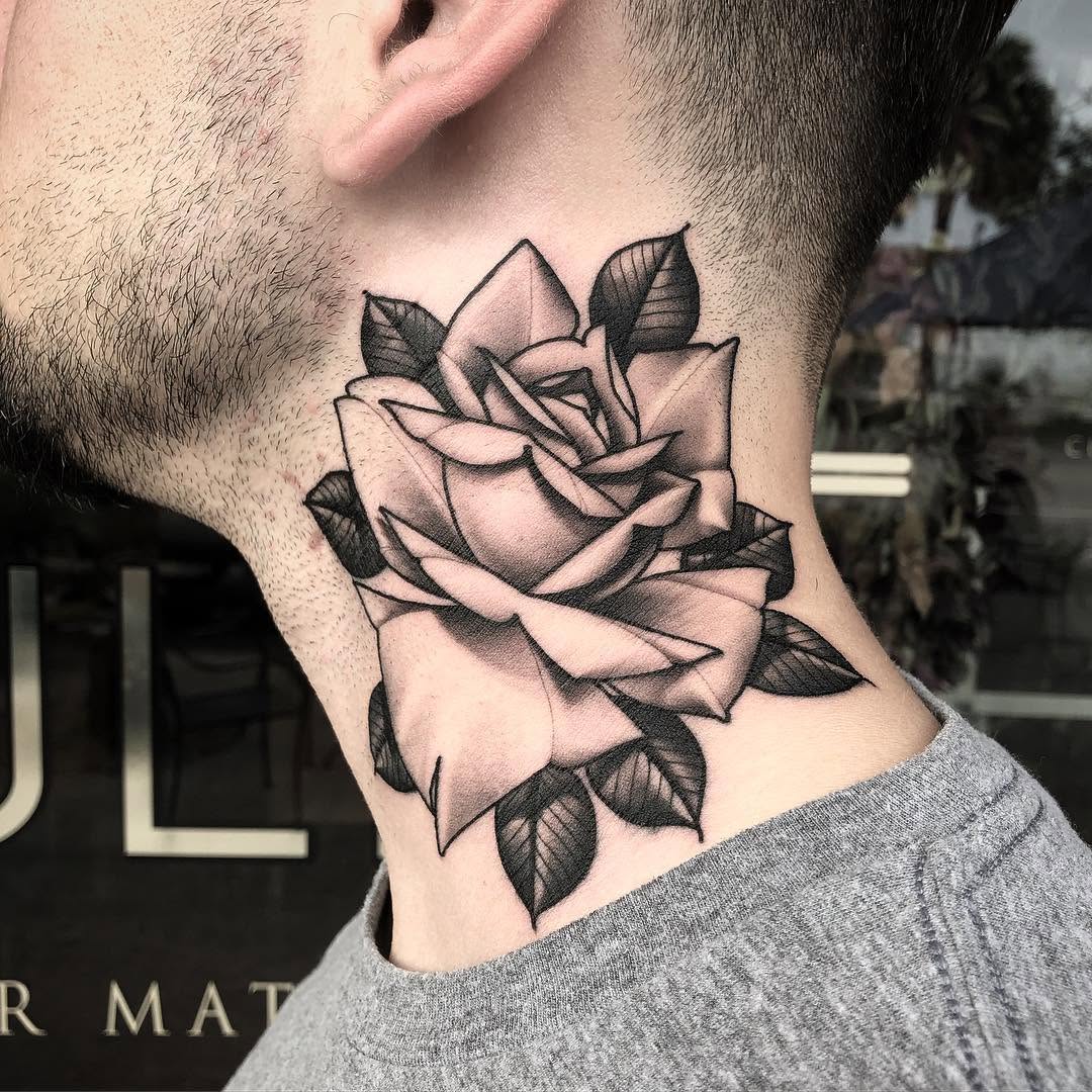 Flower, Rose, Nature