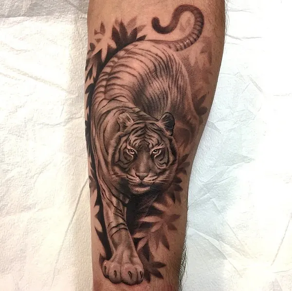 Tiger