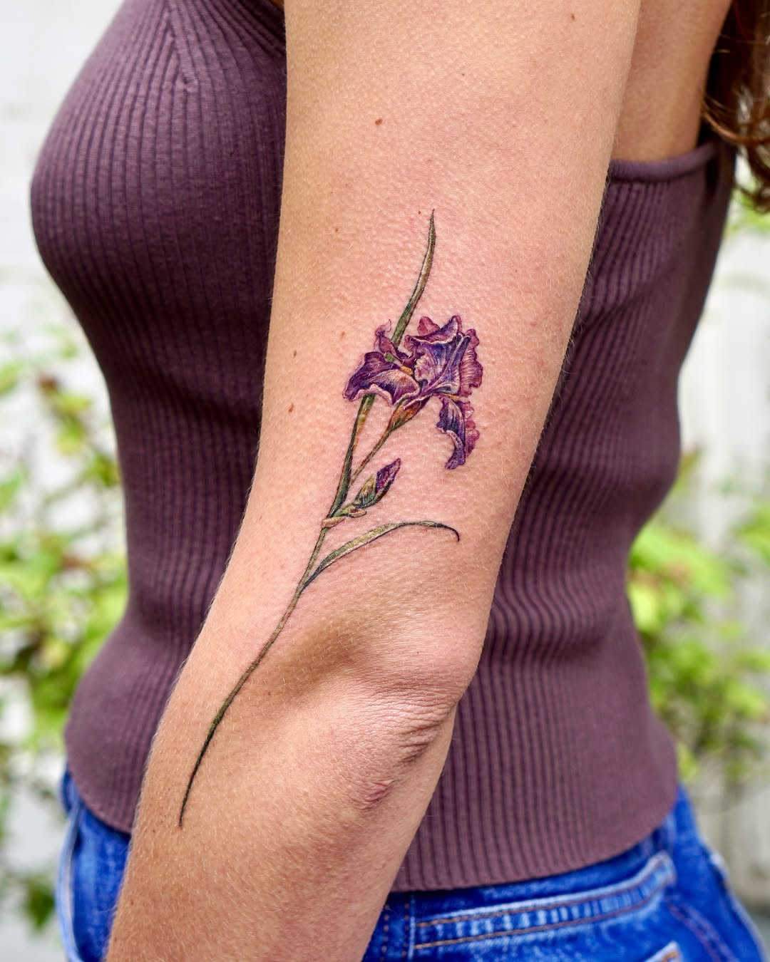 Flower, 난초, 아이리스, 라벤더